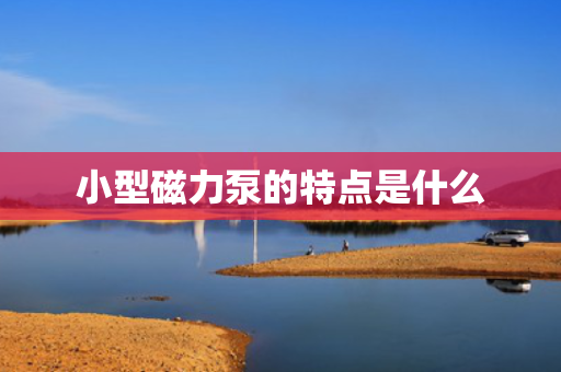小型磁力泵的特点是什么