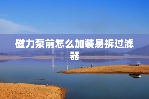 磁力泵前怎么加装易拆过滤器