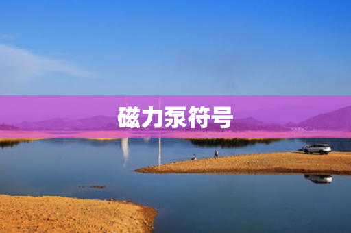磁力泵符号