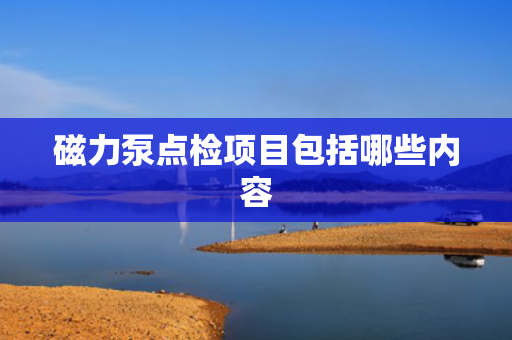 磁力泵点检项目包括哪些内容
