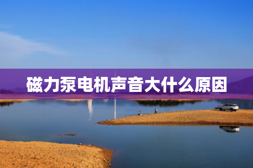 磁力泵电机声音大什么原因