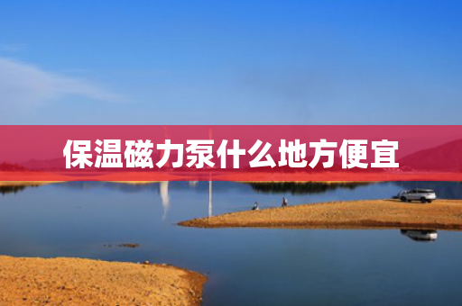 保温磁力泵什么地方便宜