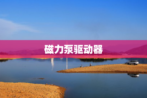 磁力泵驱动器
