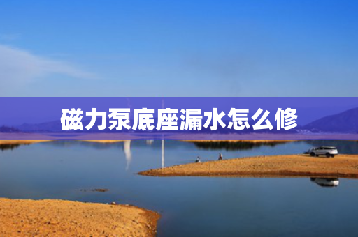 磁力泵底座漏水怎么修