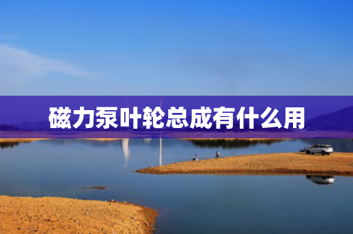 磁力泵叶轮总成有什么用