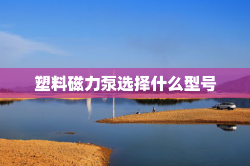 塑料磁力泵选择什么型号