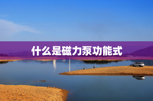 什么是磁力泵功能式