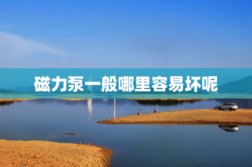 磁力泵一般哪里容易坏呢