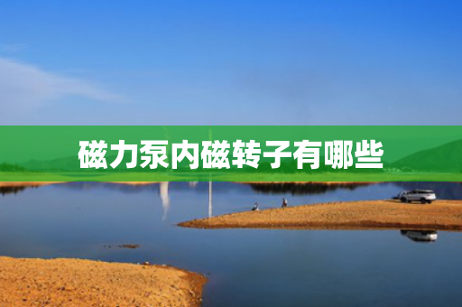 磁力泵内磁转子有哪些