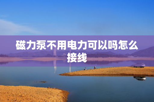 磁力泵不用电力可以吗怎么接线