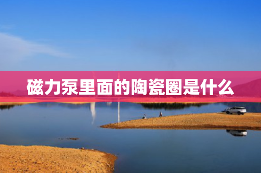 磁力泵里面的陶瓷圈是什么
