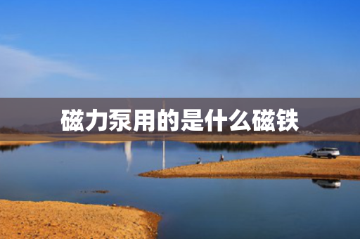 磁力泵用的是什么磁铁