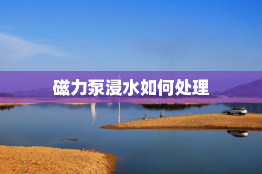磁力泵浸水如何处理