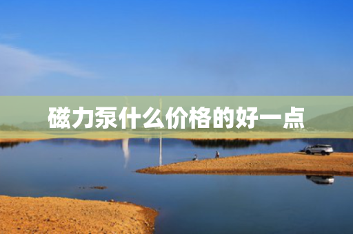磁力泵什么价格的好一点