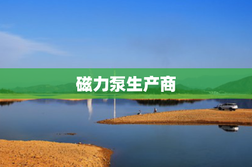 磁力泵生产商
