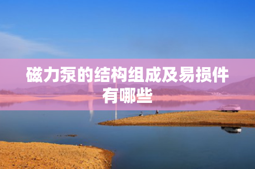 磁力泵的结构组成及易损件有哪些