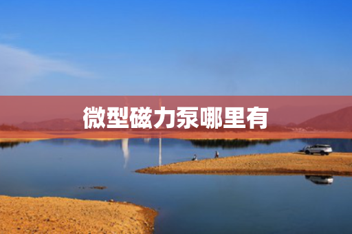 微型磁力泵哪里有