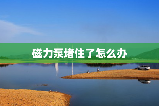 磁力泵堵住了怎么办