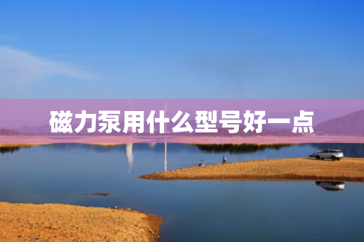 磁力泵用什么型号好一点