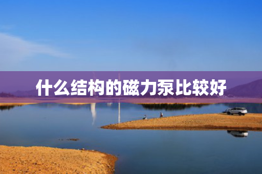 什么结构的磁力泵比较好