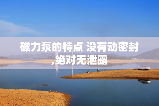 磁力泵的特点 没有动密封,绝对无泄露