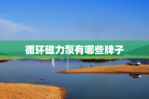 循环磁力泵有哪些牌子