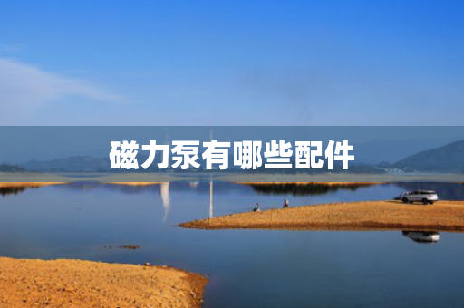 磁力泵有哪些配件