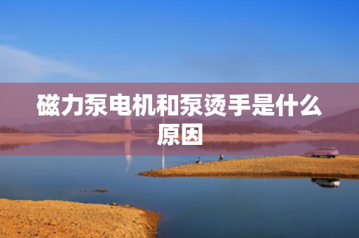 磁力泵电机和泵烫手是什么原因