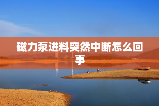 磁力泵进料突然中断怎么回事