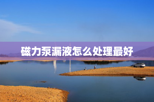 磁力泵漏液怎么处理最好