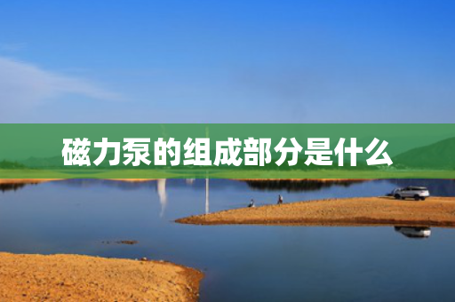 磁力泵的组成部分是什么