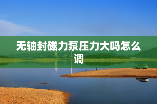 无轴封磁力泵压力大吗怎么调
