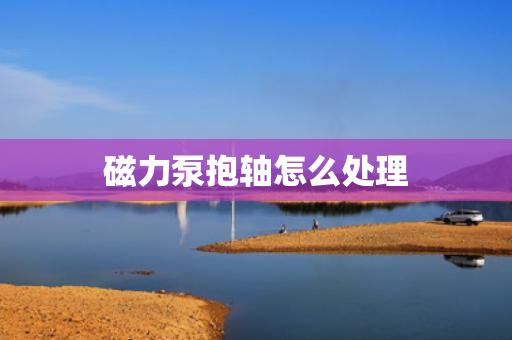 磁力泵抱轴怎么处理