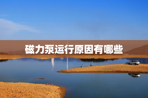 磁力泵运行原因有哪些
