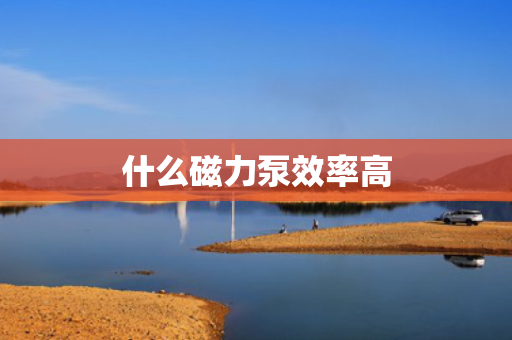什么磁力泵效率高
