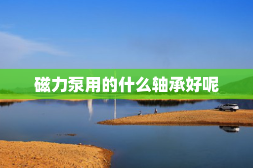磁力泵用的什么轴承好呢