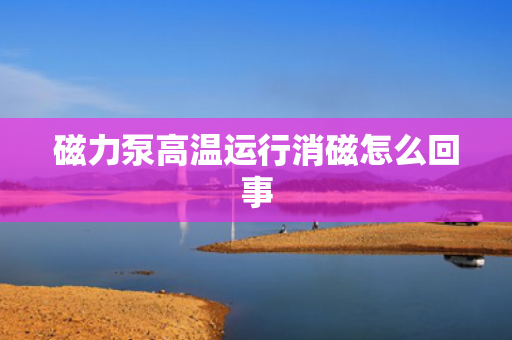 磁力泵高温运行消磁怎么回事