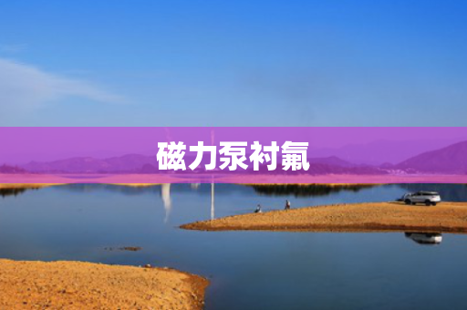 磁力泵衬氟