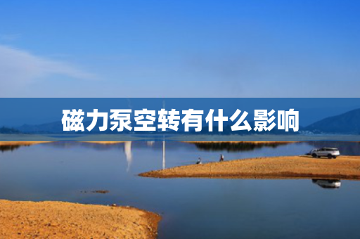 磁力泵空转有什么影响