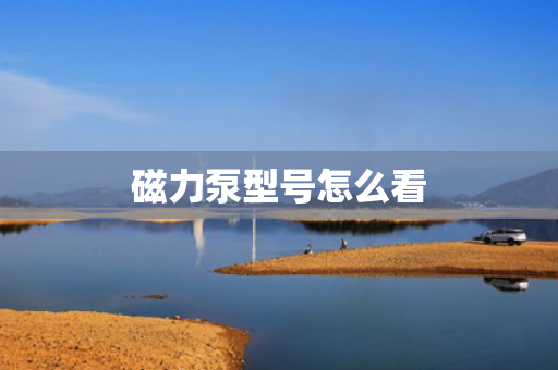 磁力泵型号怎么看