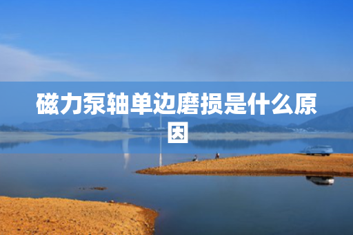 磁力泵轴单边磨损是什么原因