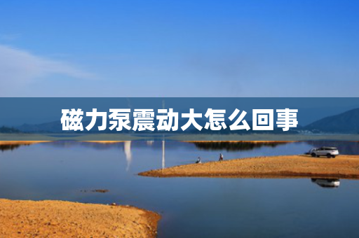 磁力泵震动大怎么回事