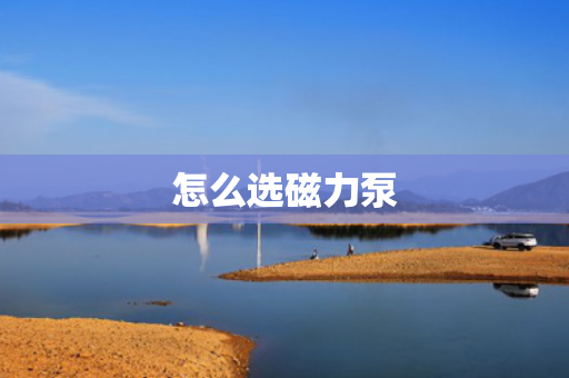 怎么选磁力泵