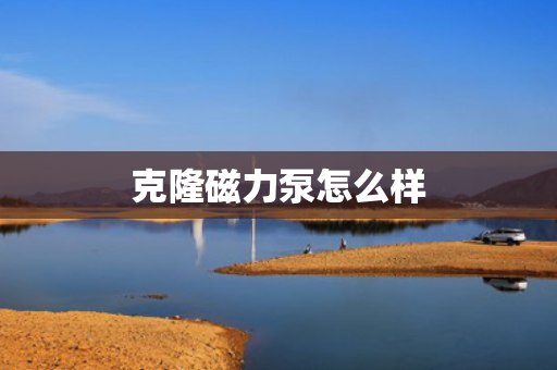 克隆磁力泵怎么样