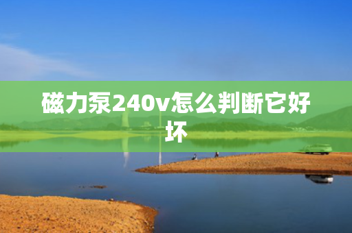 磁力泵240v怎么判断它好坏