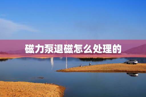 磁力泵退磁怎么处理的