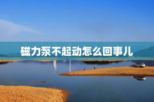 磁力泵不起动怎么回事儿