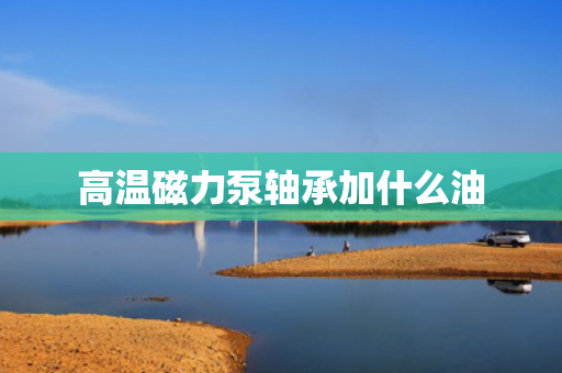 高温磁力泵轴承加什么油