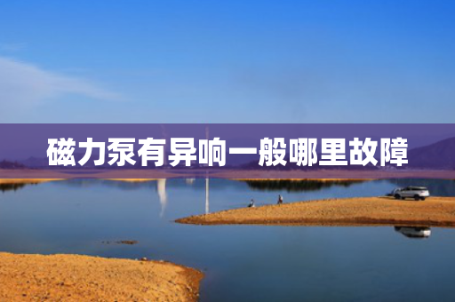 磁力泵有异响一般哪里故障