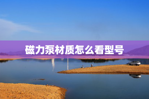 磁力泵材质怎么看型号
